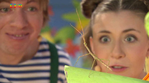 Hýbánky - Po lúce chodila