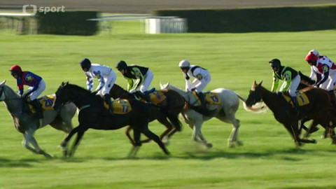 Velká pardubická - historie - 2010