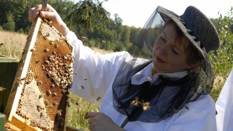 Kluci v akci - Medová