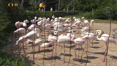 Zprávičky - 13. srpna 2019