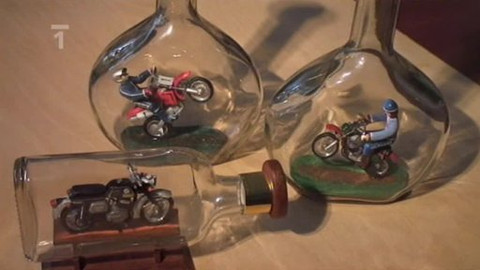 Toulavá kamera - 28. prosince 2008