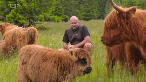 Folklorika - Když odešli lidé