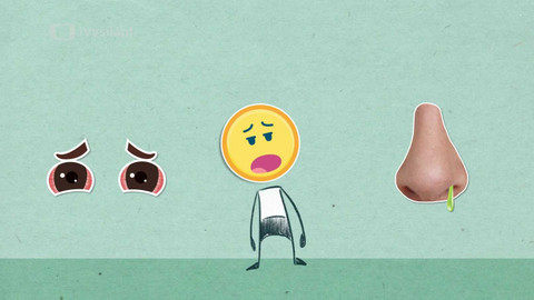 To je něco! - Proč máme alergie?