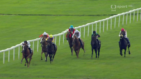 Dostihy - Velká cena Prahy