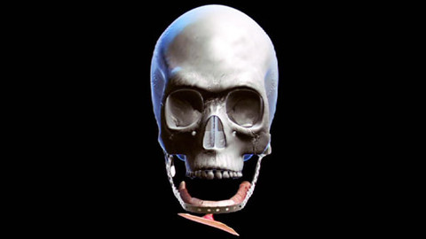 Diagnóza - Nová čelist