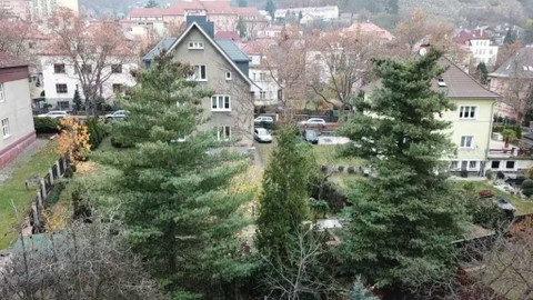 Černé ovce - 12. ledna 2022