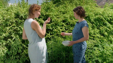 Co naše babičky uměly a na co my jsme zapomněli - Lesní jídelníček