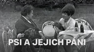 Obrázek pořadu Psi a jejich páni