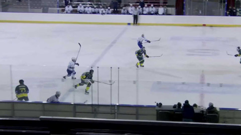 Univerzitní liga ledního hokeje - ČZU Farmers Prague - ZČU Akademici Plzeň