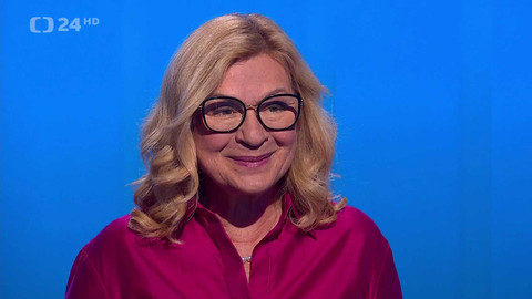 Interview ČT24 - 8. června 2024