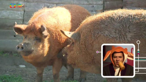 Telefon - 28. října 2016