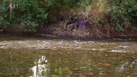 Kapka vody - Trdliště říčních ryb