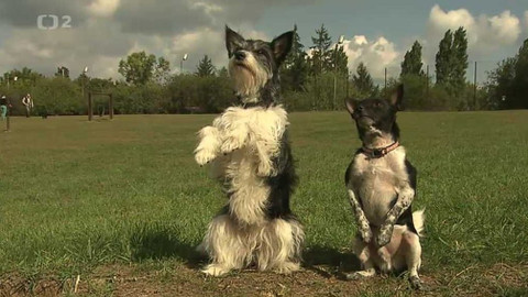 Věříš si? - 24. října 2012