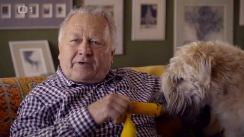 Kočka není pes - Neposlušný Dandy a plachá Bibi