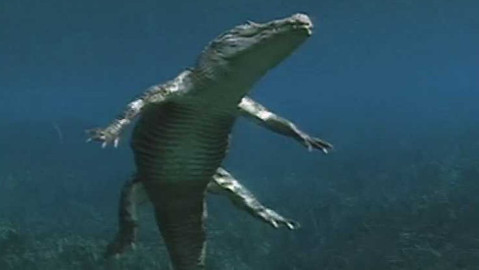 Život po dinosaurech - 2/12 Krokodýli