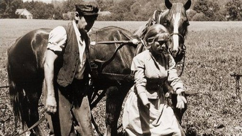 Pokračování příště - Kamenný řád