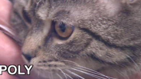 Chcete mě? - 12. února 2010