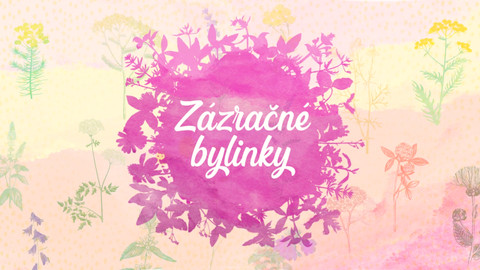 Zázračné bylinky
