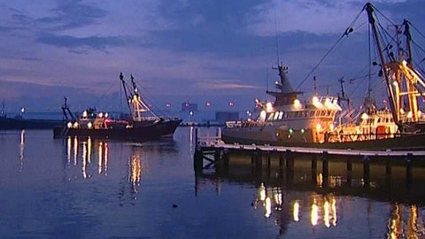 Popularis - 14. listopadu 2006