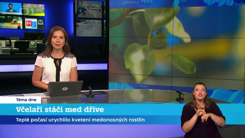 Události v regionech (Brno) - 25. června 2024