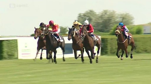 Turf - 16. července 2014