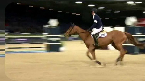 Lvíčata - 18. února 2017