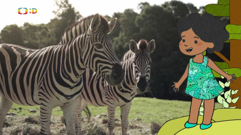 Velká kniha o zvířátkách - Epizoda 11/52