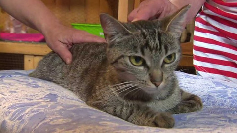 Chcete mě? - Chcete je?