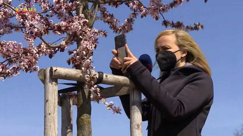 Zprávičky - 4. května 2021