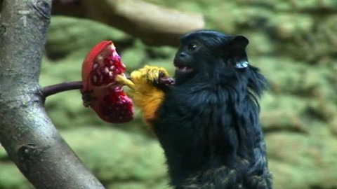 Toulavá kamera - 8. července 2012