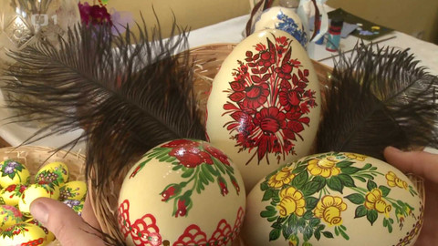 Toulavá kamera - 29. března