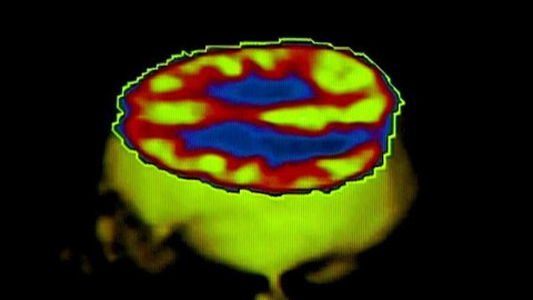 Popularis - 4. listopadu 2004