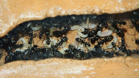 PORT - 16. září 2011