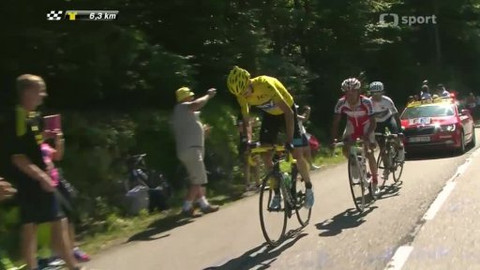 Tour de France - Sestřih 20. etapy