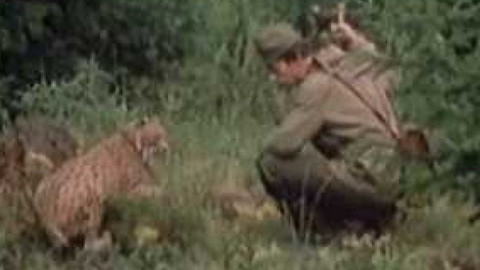 Přidej se - Zachraňte rysy