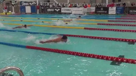 Plavání - Velká cena Brna