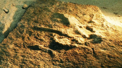 PORT - 17. června 2011