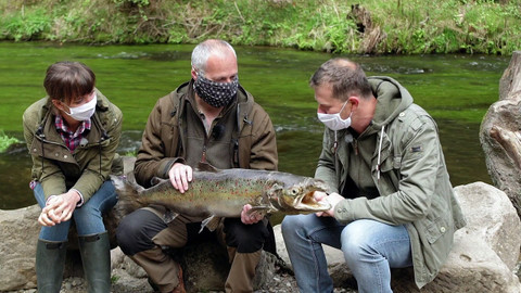 Co naše babičky uměly a na co my jsme zapomněli - Ryby