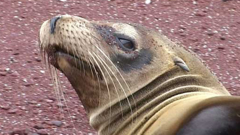 Neznámá země - 2/3 Bytí