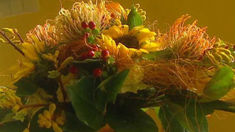 Bydlení je hra - 12. června 2004