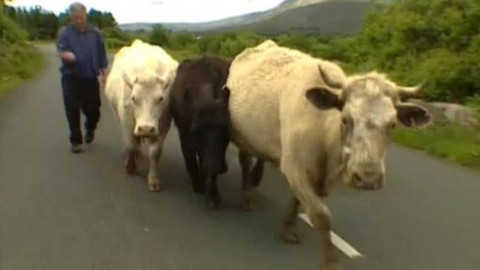 Postřehy odjinud - Irsko očima Petra Voldána