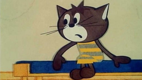 Byla jednou koťata - 12/13 Kočičí pověry