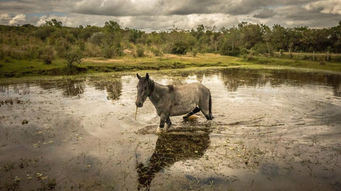 Vůně cizích krajů - Uruguay, prostá krása