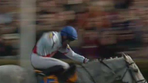 Velká pardubická - Před Velkou Pardubickou