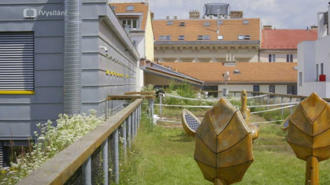 Kapka vody - Zeleň na střechách