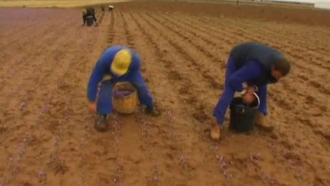Postřehy odjinud - Španělsko očima Jaroslava Skalického