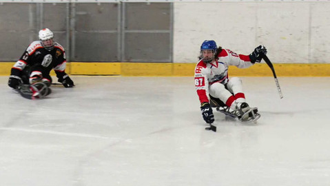 Hokej - SHK LAPP ZLÍN - SHK Mustangové AUTO IN