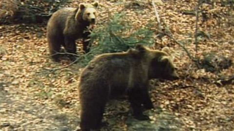Přidej se - Migrační koridory