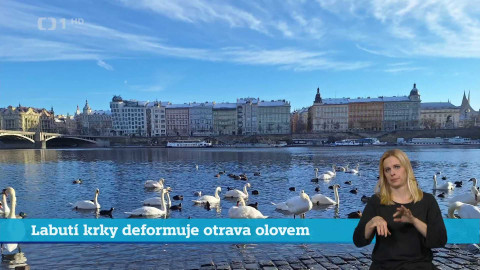 Události v regionech (Praha) - 19. února