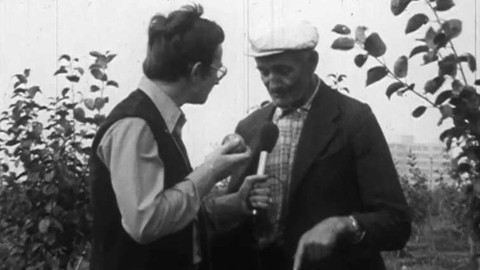 Příloha Televizních novin - Rekultivace Most